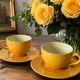 Duo of cups and saucers Pagnossin Treviso