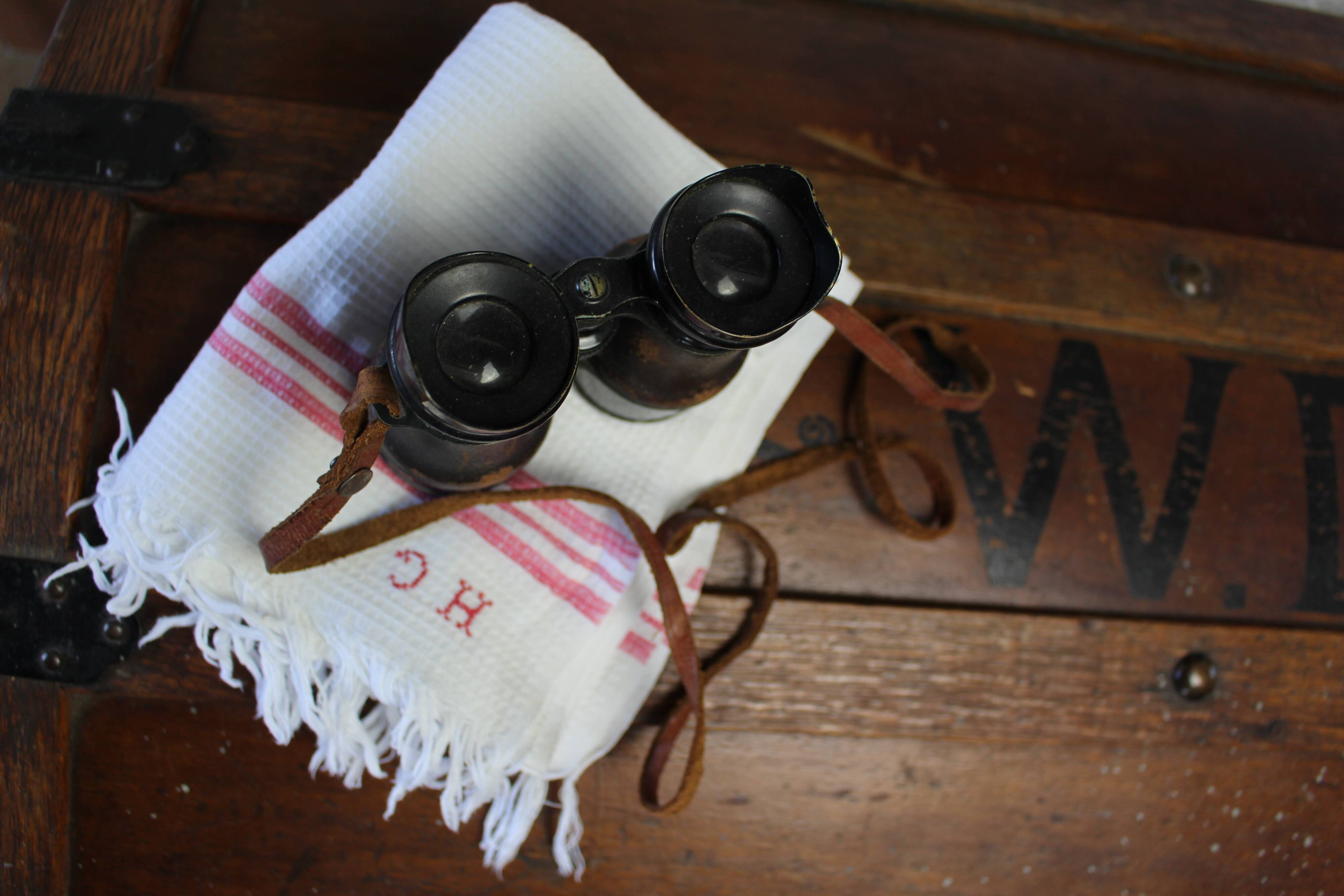 Pair of old binoculars