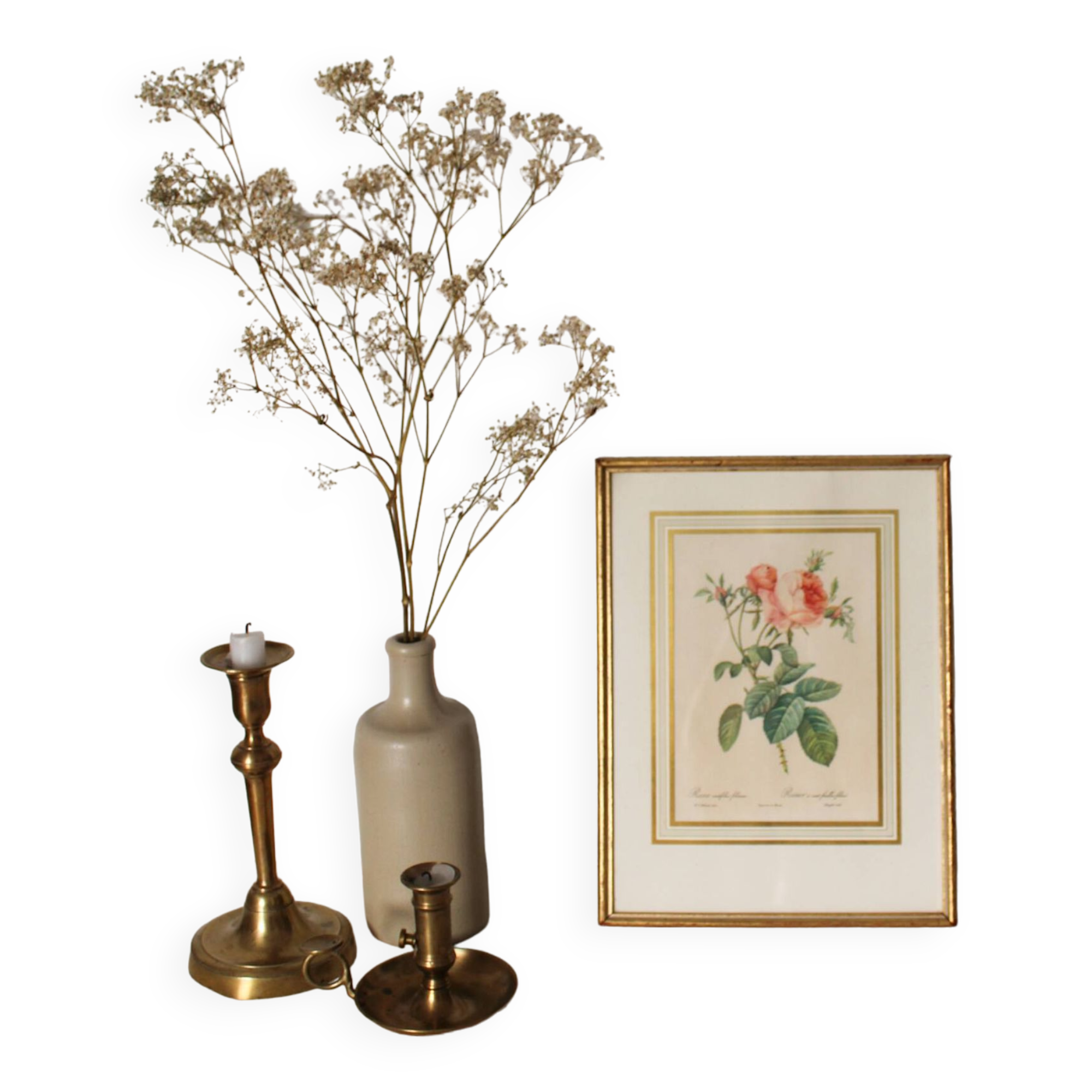 Golden frame botanical illustration