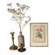 Golden frame botanical illustration