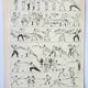 Antique engraving 1898, Fencing, combat, sport, sword • Lithograph, original illustration