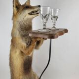 Stuffed Taxidermy Fox Stuffed