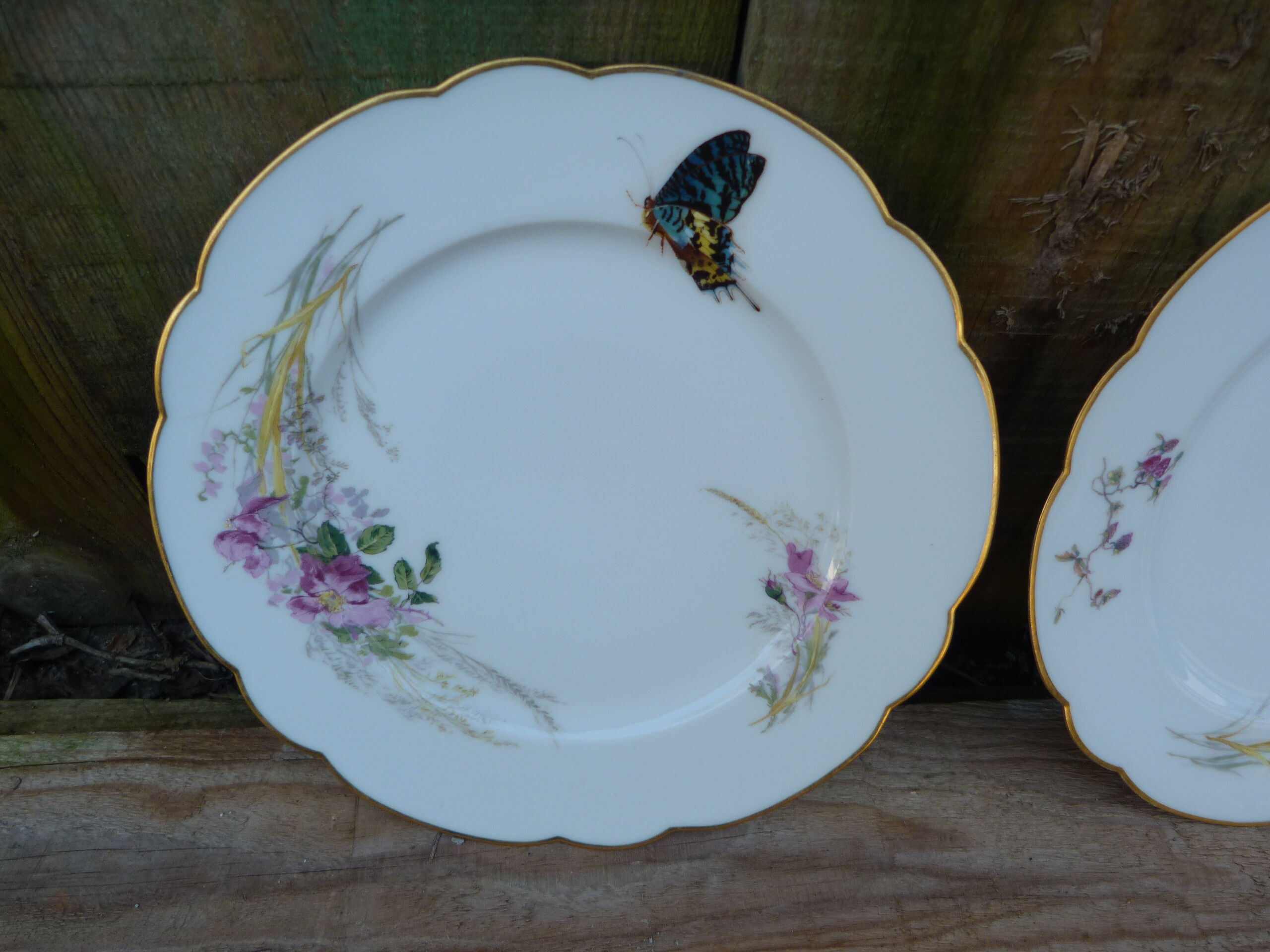 Set of 2 haviland plates for pannier lahoche l'escalier de cristal paris 1860