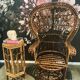 Fauteuil Emmanuelle Peacock