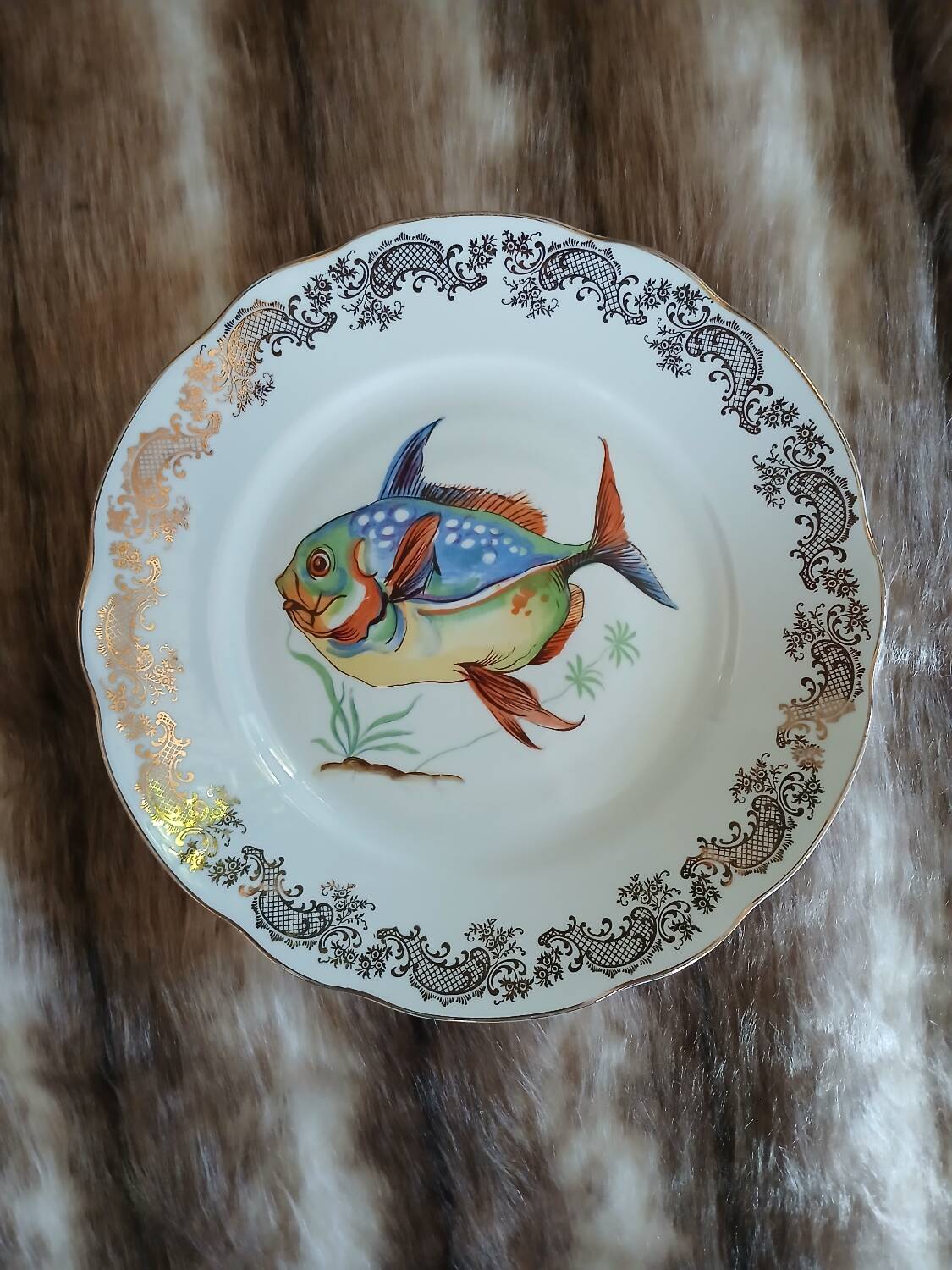 12 antique "Royal" dinner plates + 1 dish