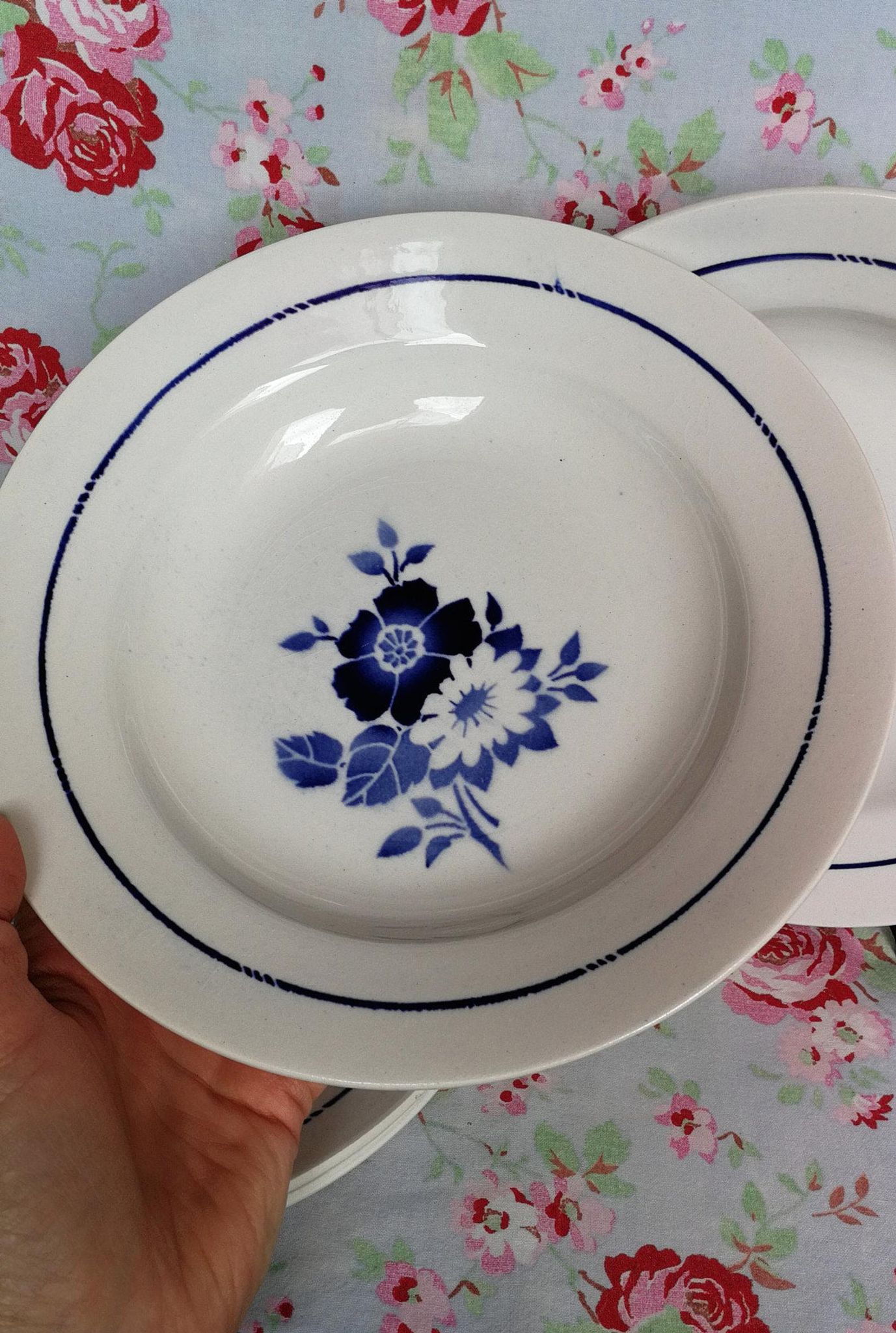 6 old blue flowers with stencil hollow plates