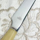 12 vintage knives NOGENT Bakélite imitation ivory