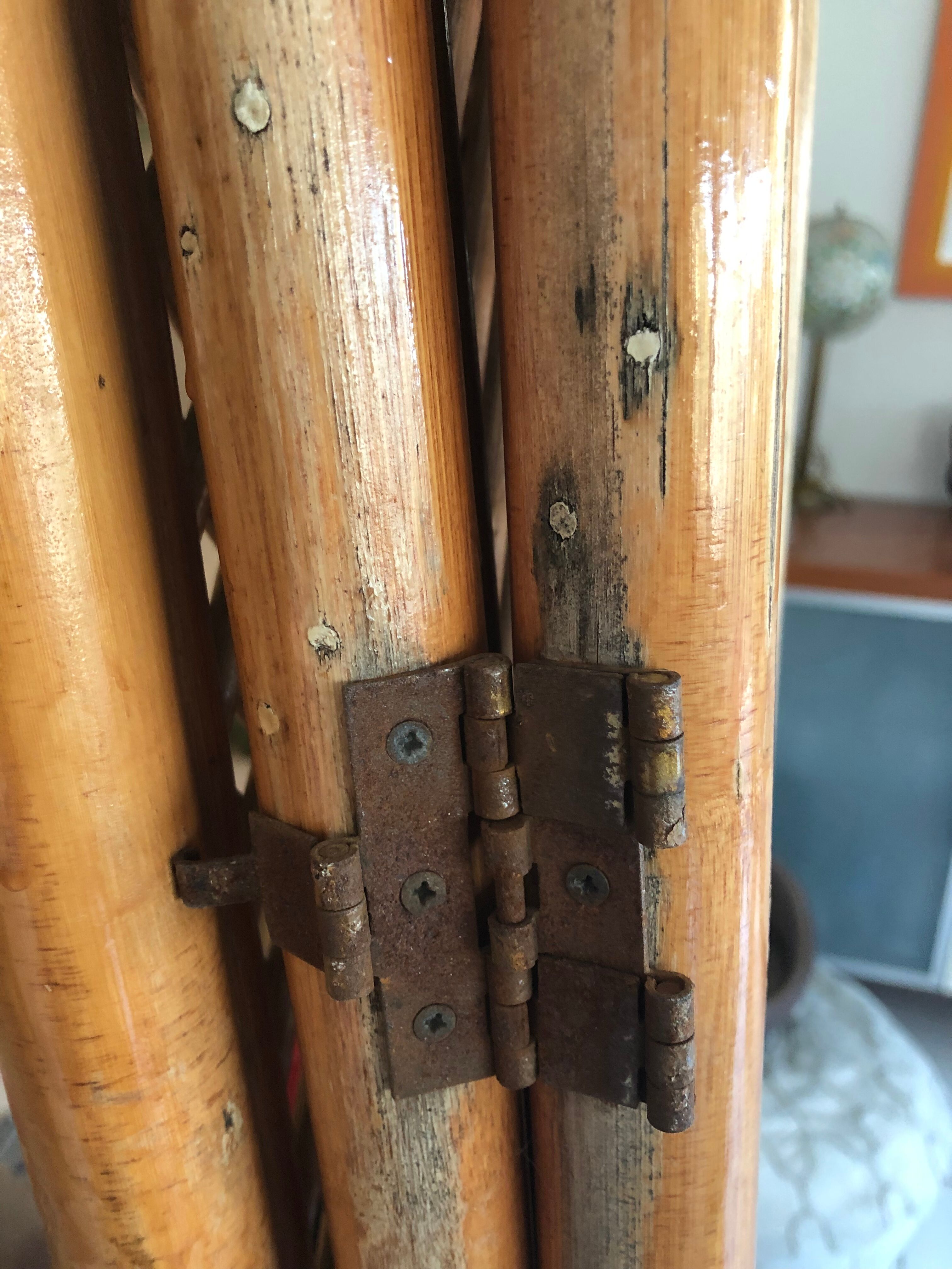 Rattan screen, bamboo and canning