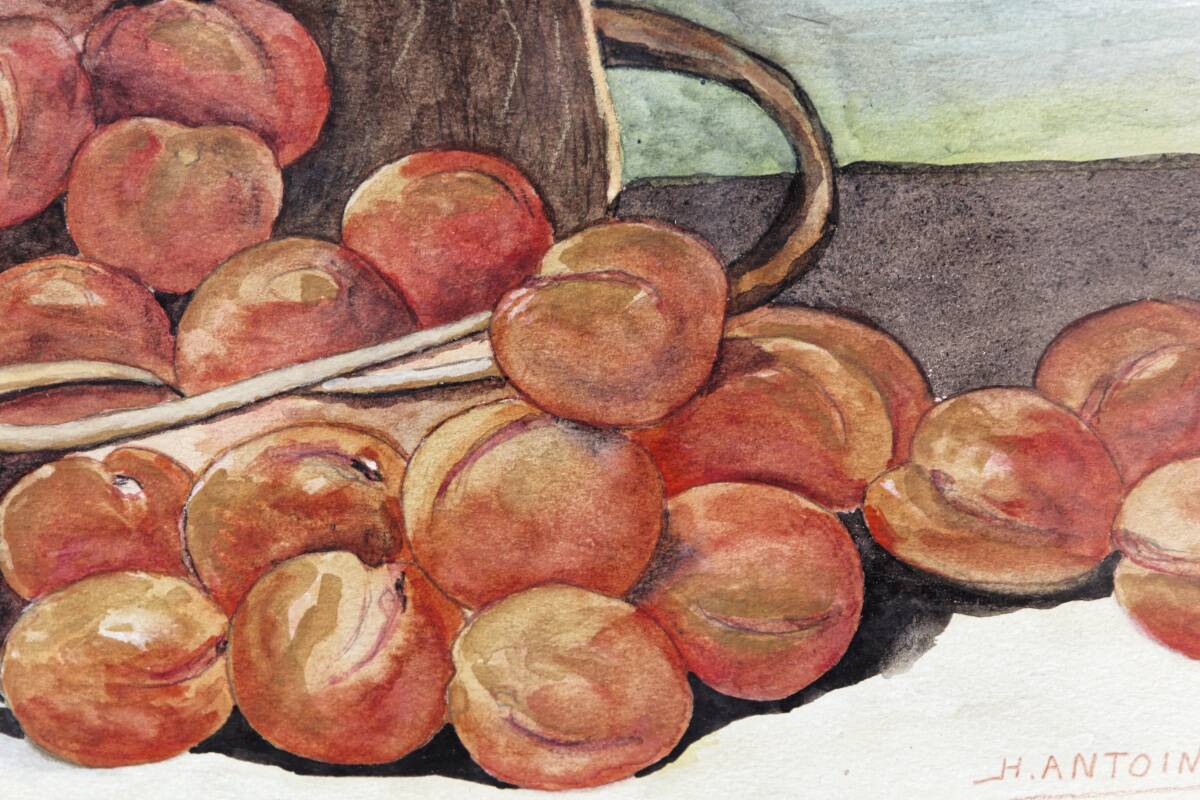 Nature morte, aquarelle, panier aux abricots