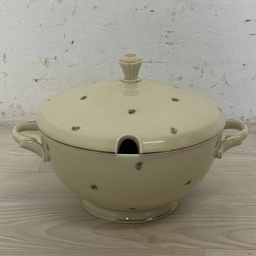 Bohemia Royal Ivory porcelain dinnerware set 1900