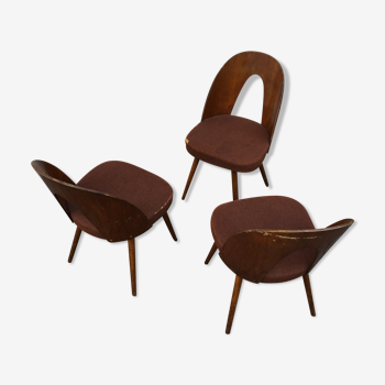 Lot de 3 chaises Lollipop par Antonin Suman, mid century 50s, Tchécoslovaquie