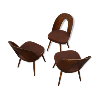 Set 3pcs Antonin Suman lollipop dining chairs, mid century 50s wood Czechoslovakia tatra