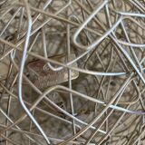 Catellani & Smith wire lamp