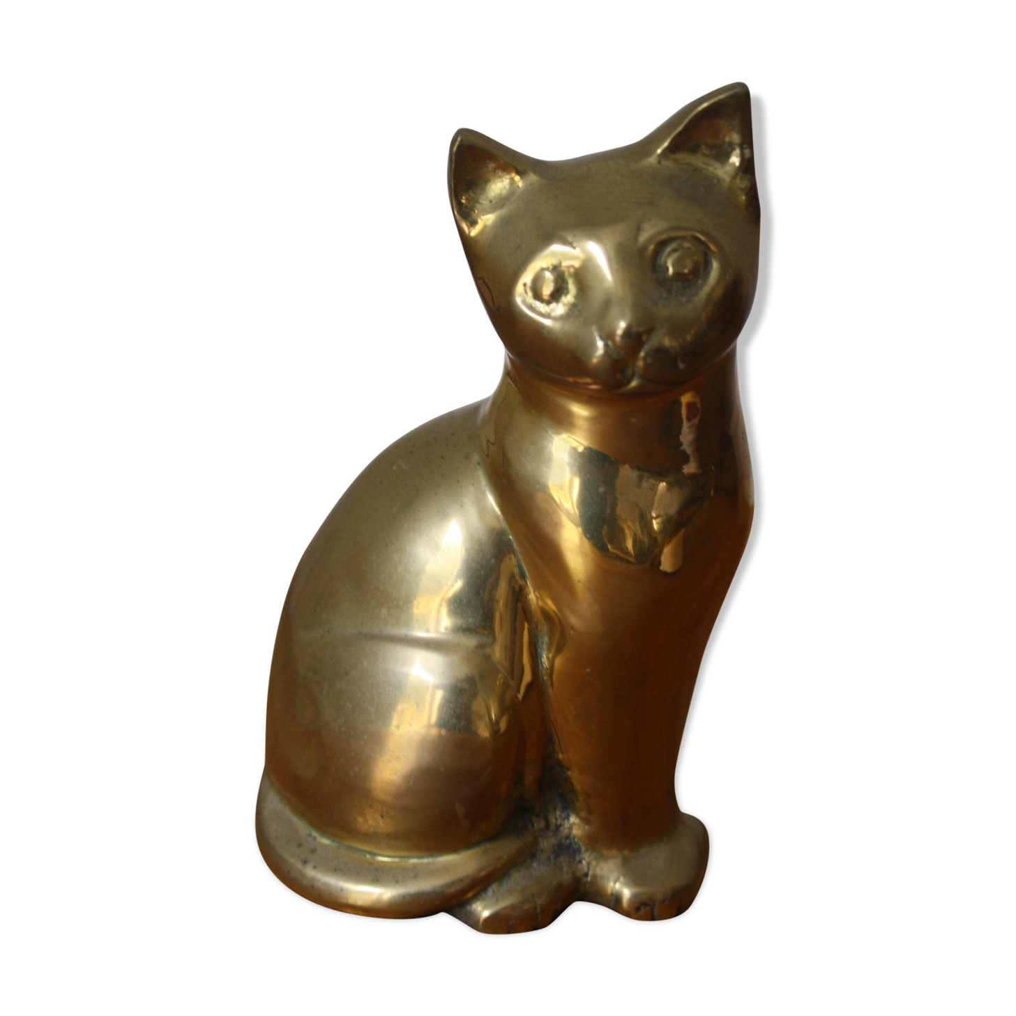 Cat sitting in brass