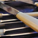 12 Rameau Sens stainless steel knives – France – 1950s/1970s