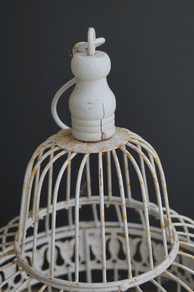 Birdcage