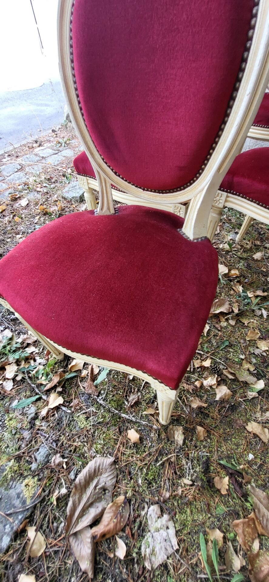 Velvet medallion chairs