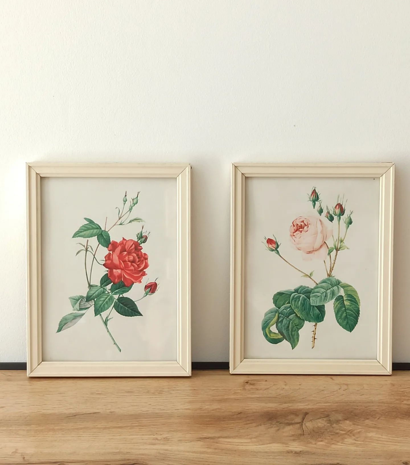 Two litho rose Redouté