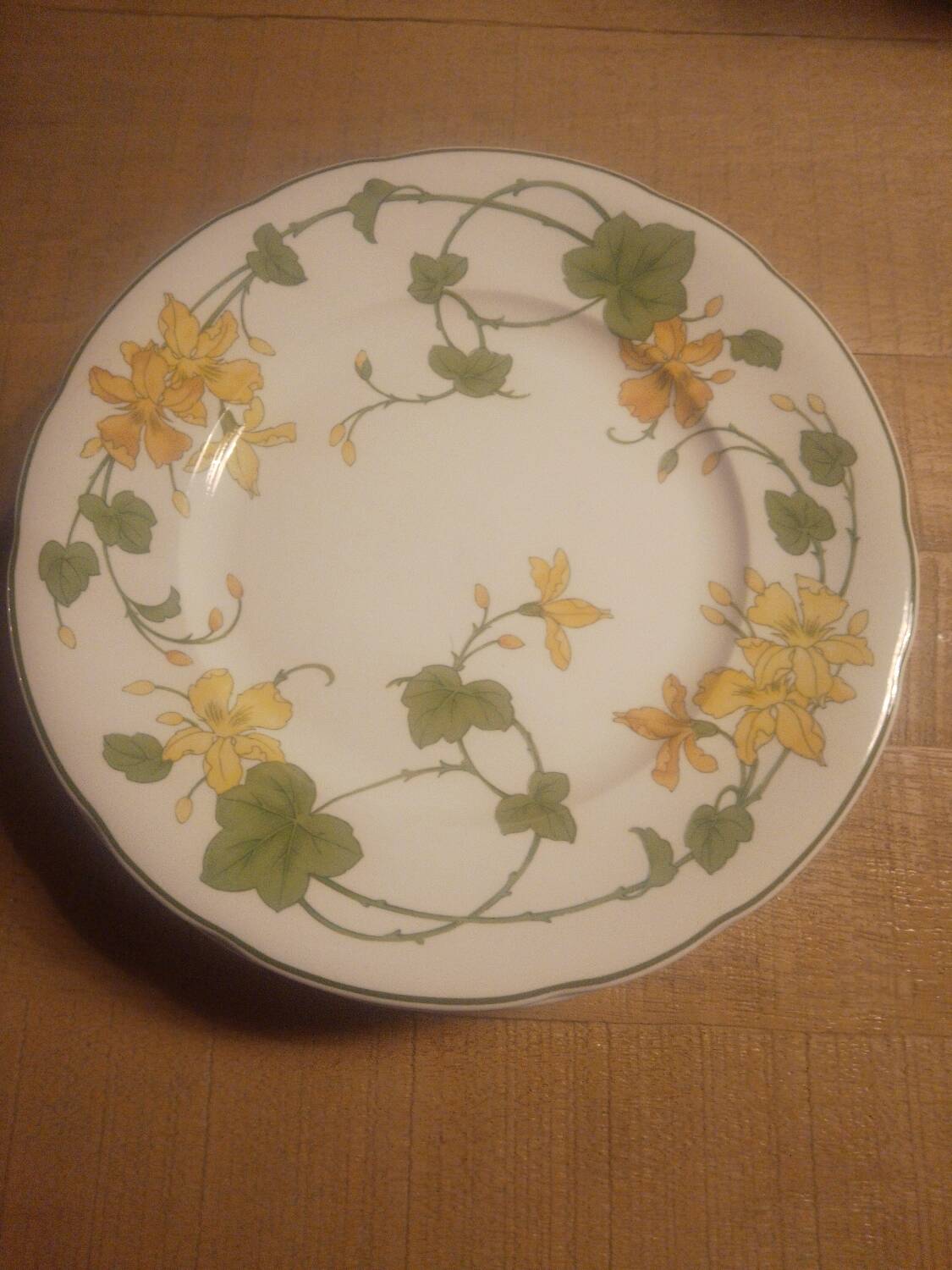 6 Villeroy and Boch “geranium” plates