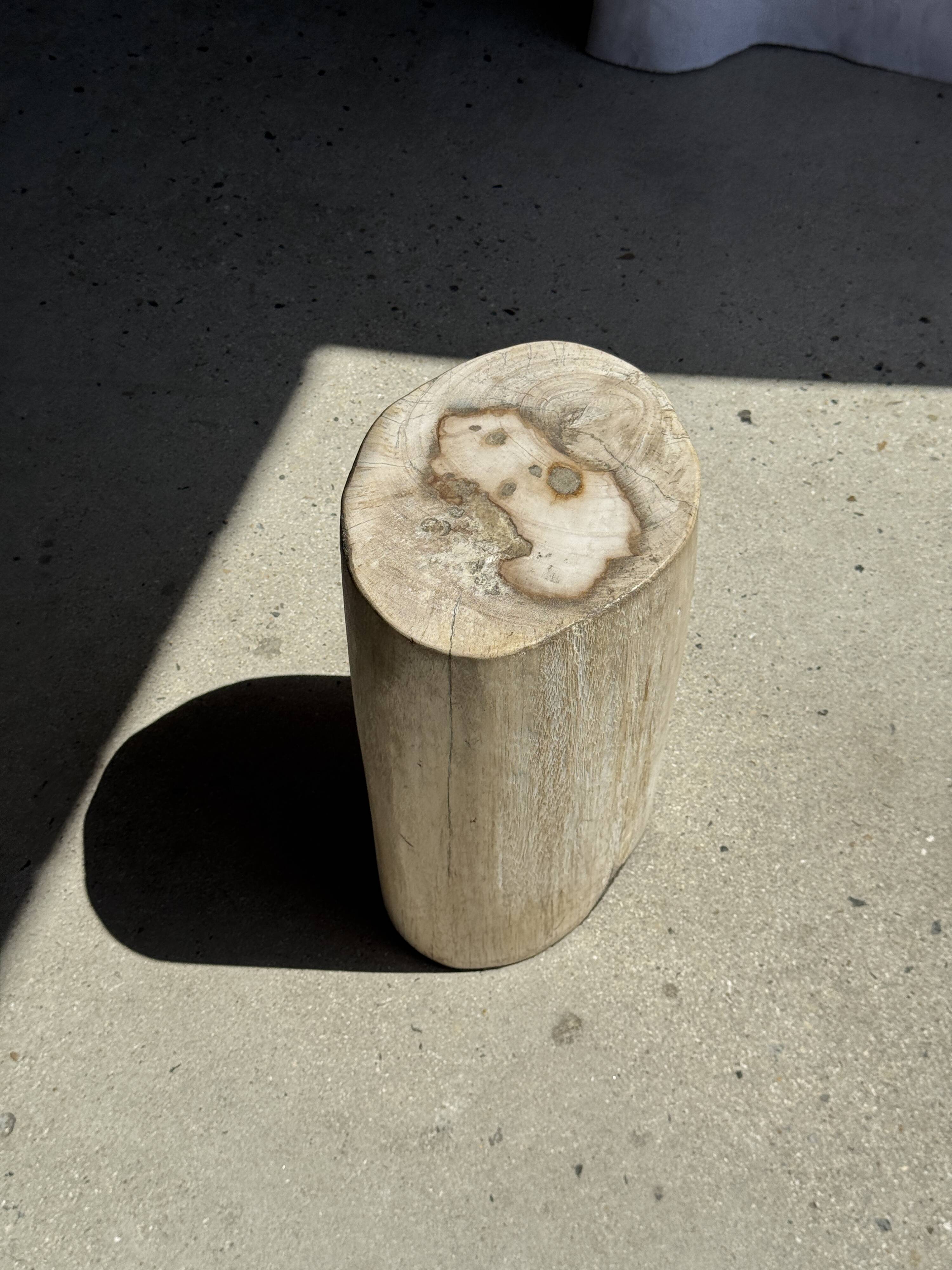 White oval petrified wood side table H38 D28 - 3335