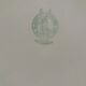 Paire assiettes plates nappe verte