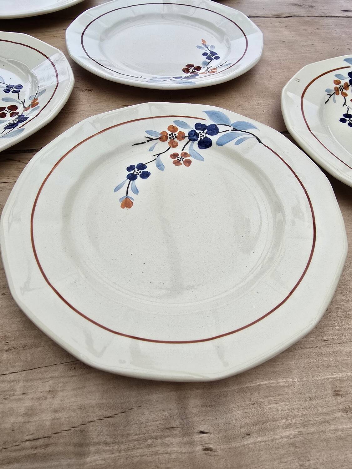 9 Sarreguemines plates model 5041