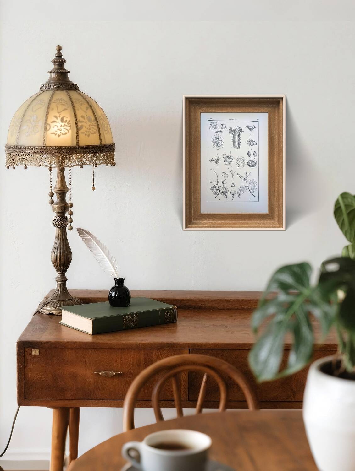 Printed in 1889, the Euphorbiaceae. Antique botanical plate.