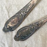 Tablespoons in silver metal