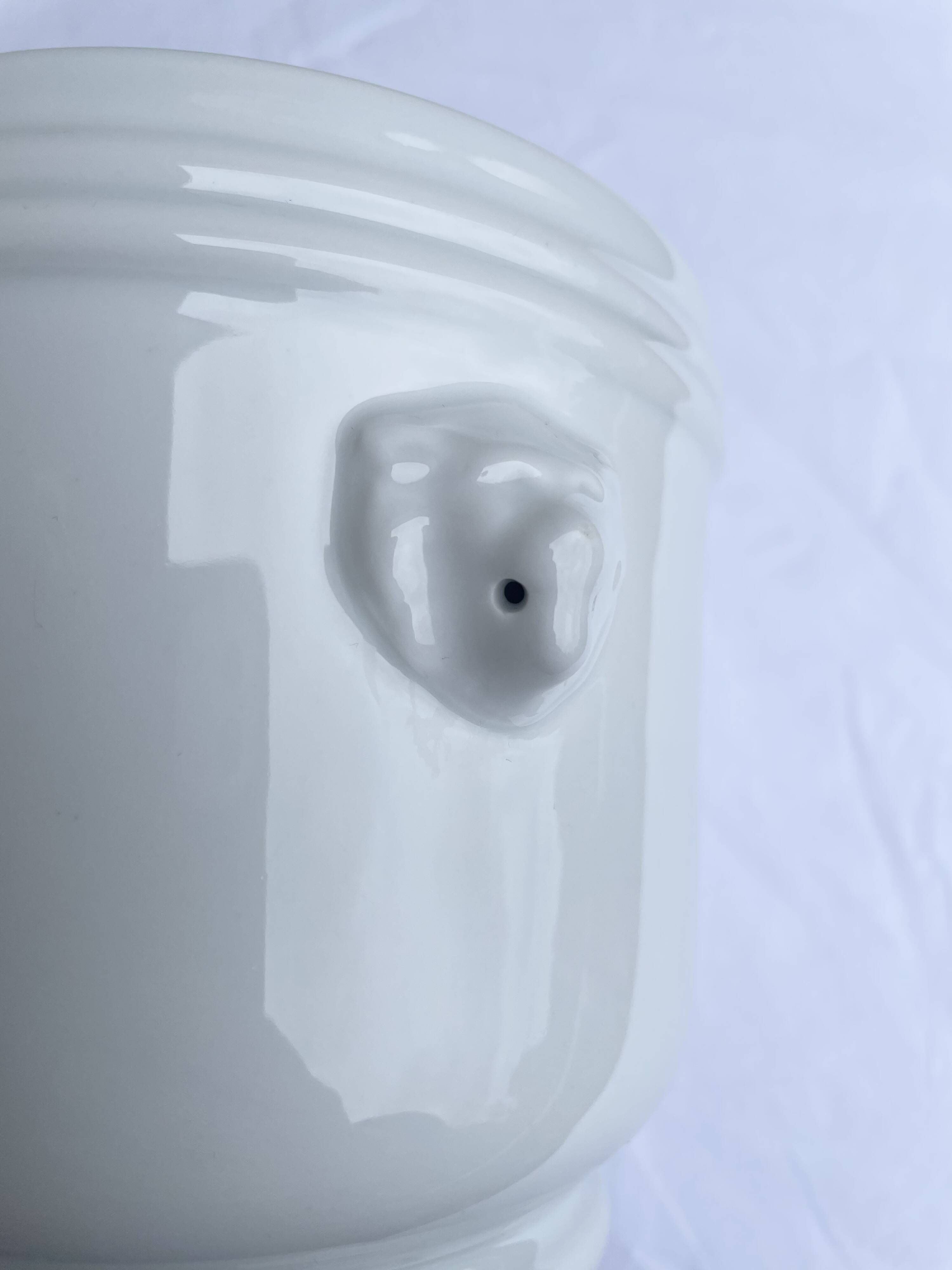 Lion head cache-pot