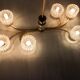 Luster 6 glass globes 60