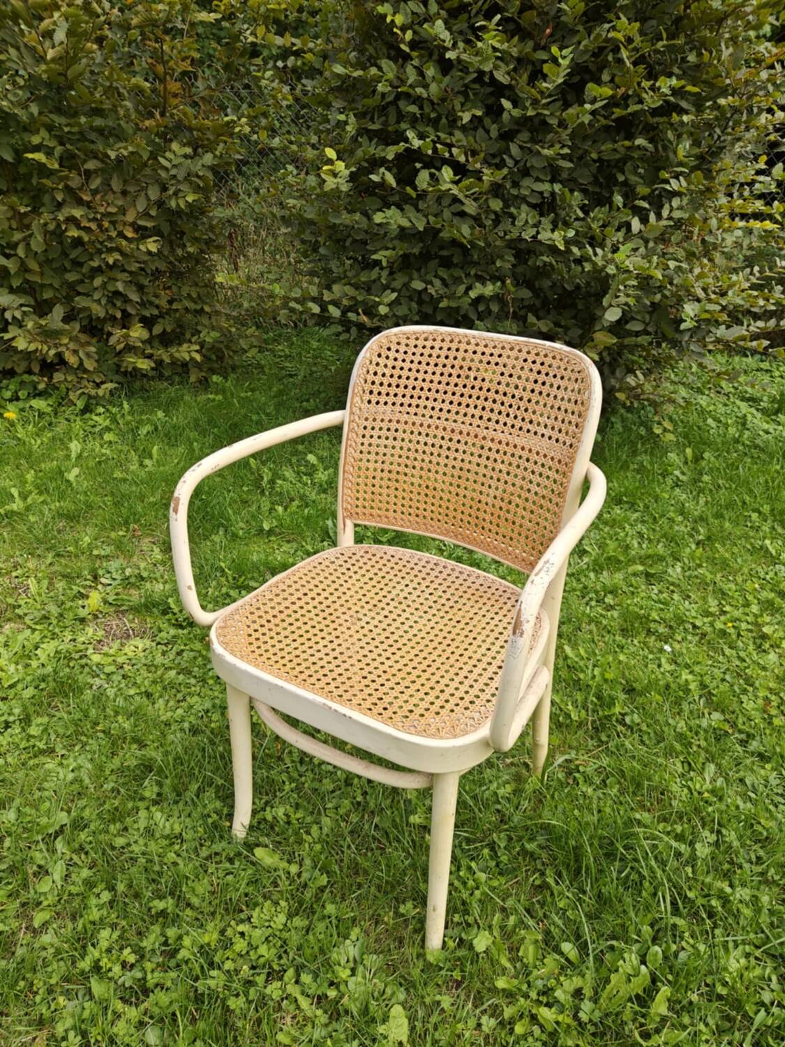 fauteuil thonet modèle Pragues 811