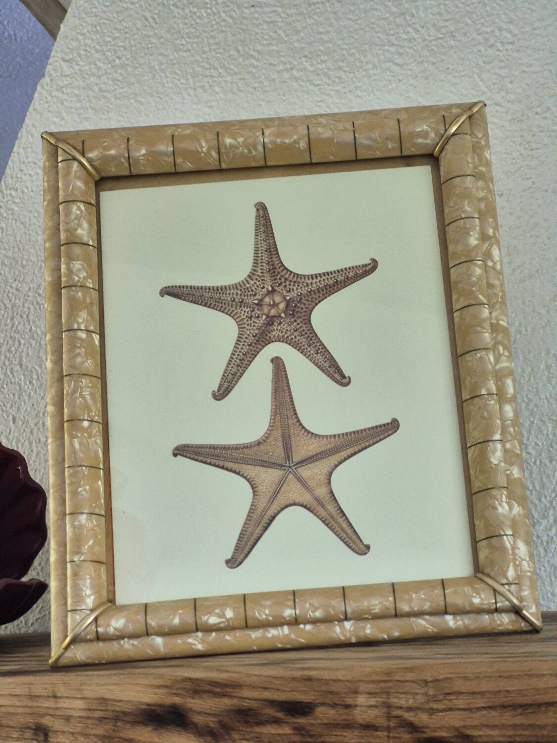 Vintage illustration