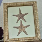 Vintage illustration