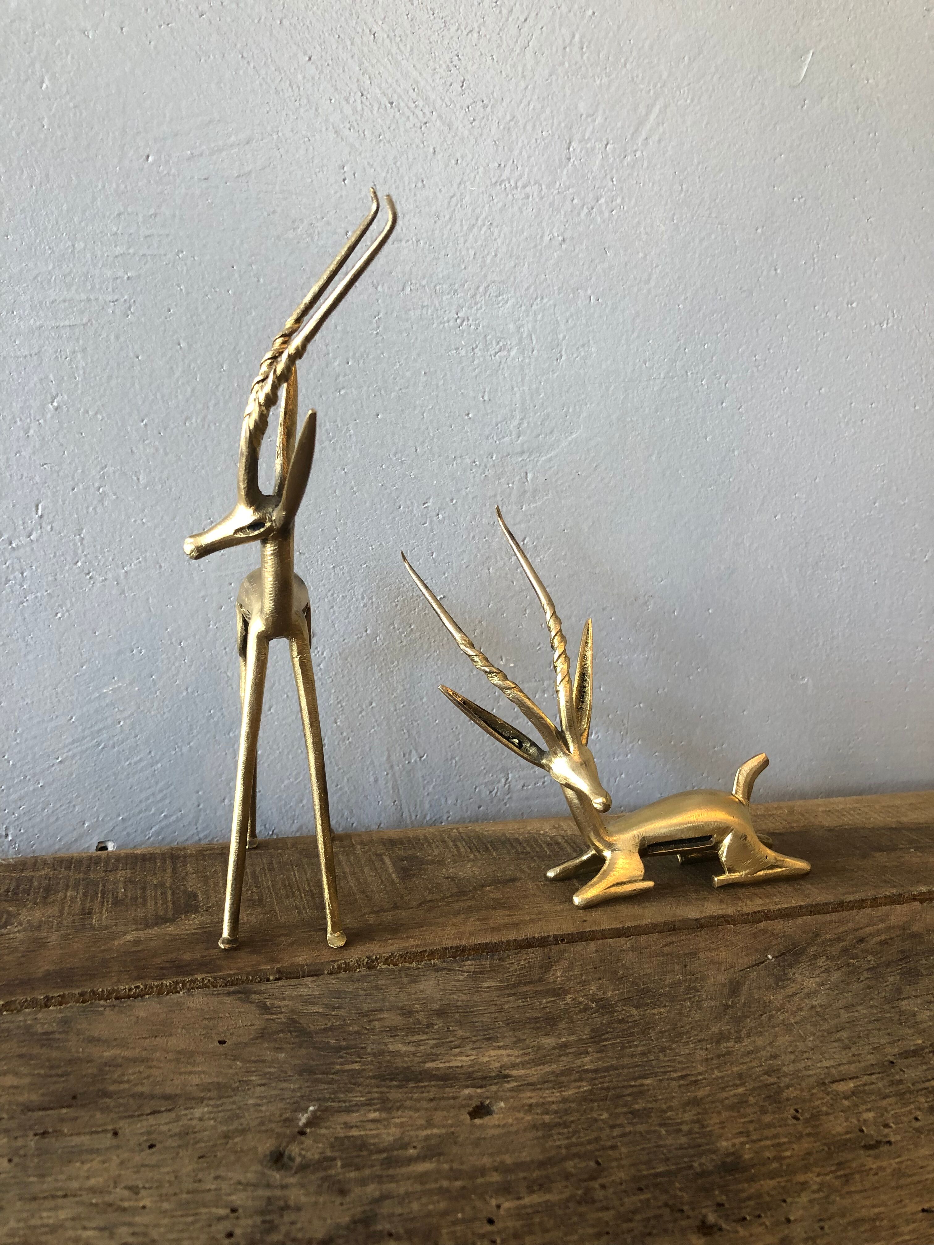 Two golden animal subjects