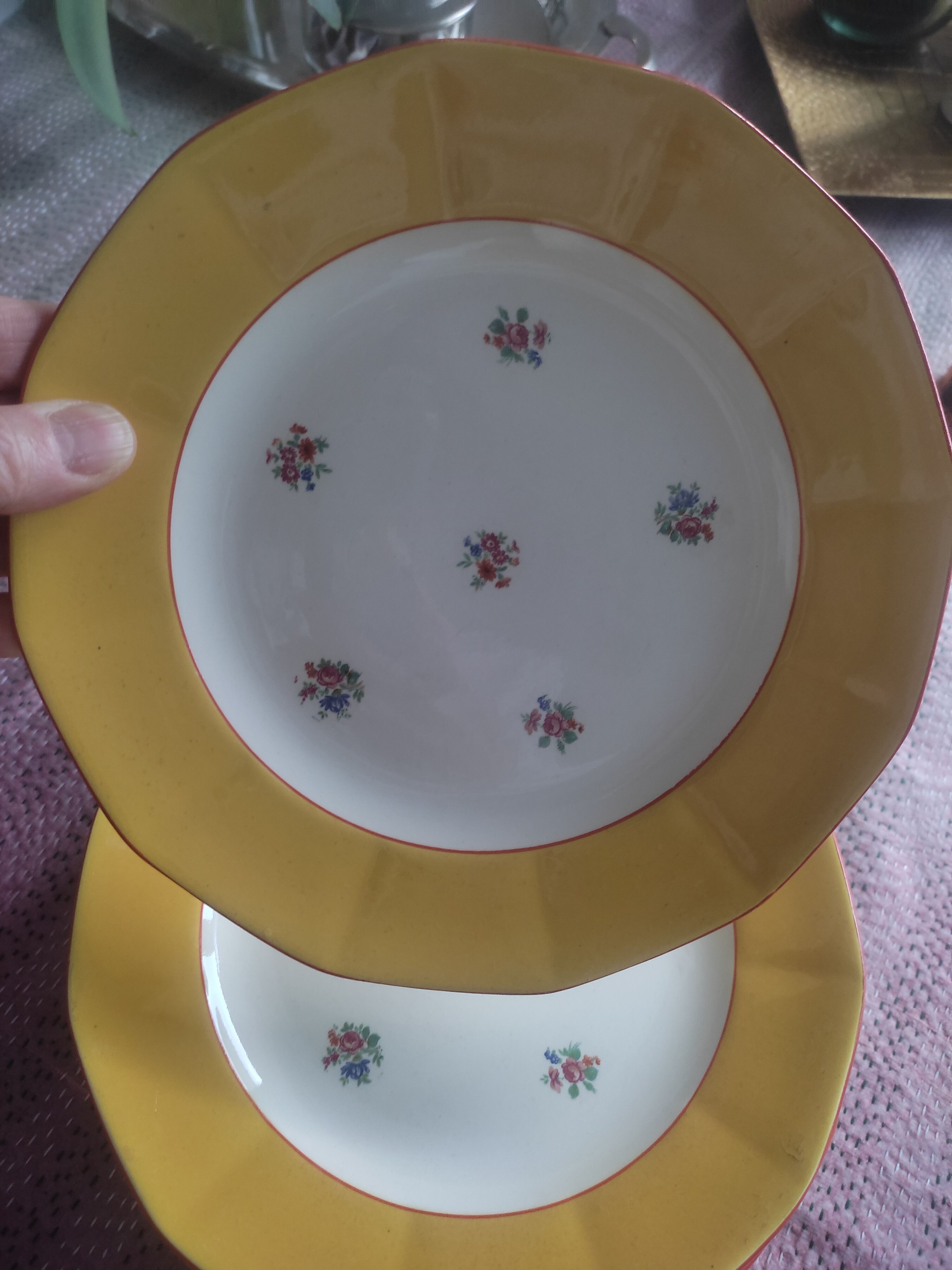 11 assiettes Sarreguemines