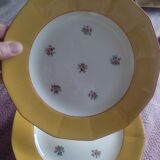 11 assiettes Sarreguemines