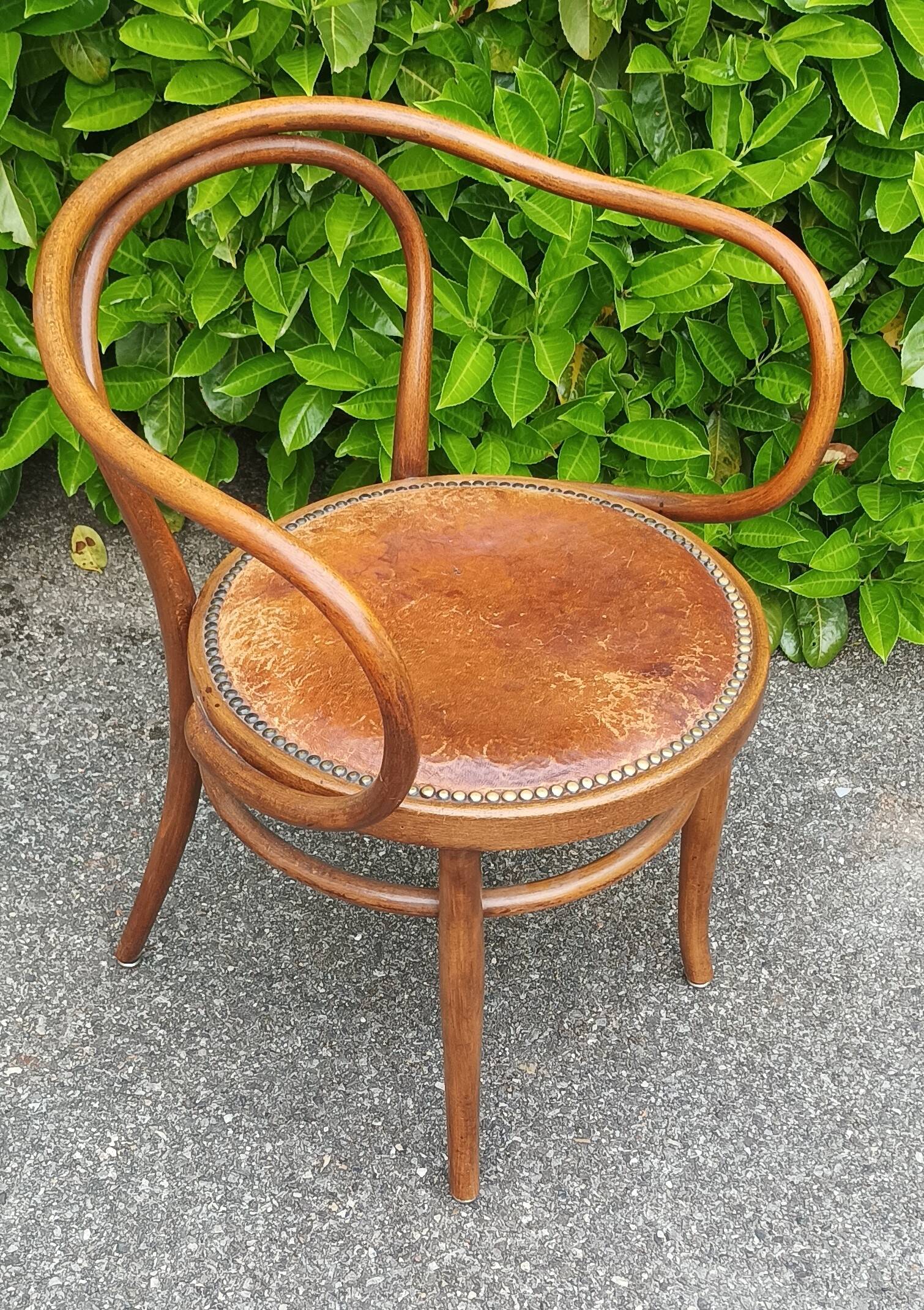 Fauteuil Ancien Jacob & Josef Kohn - Hêtre Courbé XIXe Siècle - Style Art Nouveau