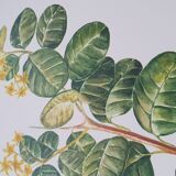 Set of 3 botanical plates "Yellow"- LPR22051B