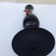 Hartzviller H 25 cm black crystal soliflore vase