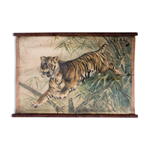 Affiche pédagogique tigre, 1897