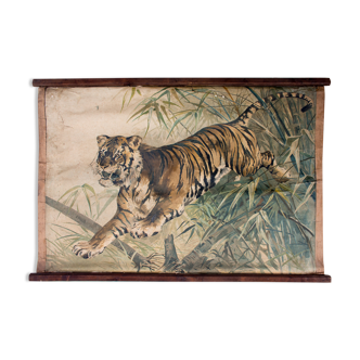Affiche pédagogique tigre, 1897
