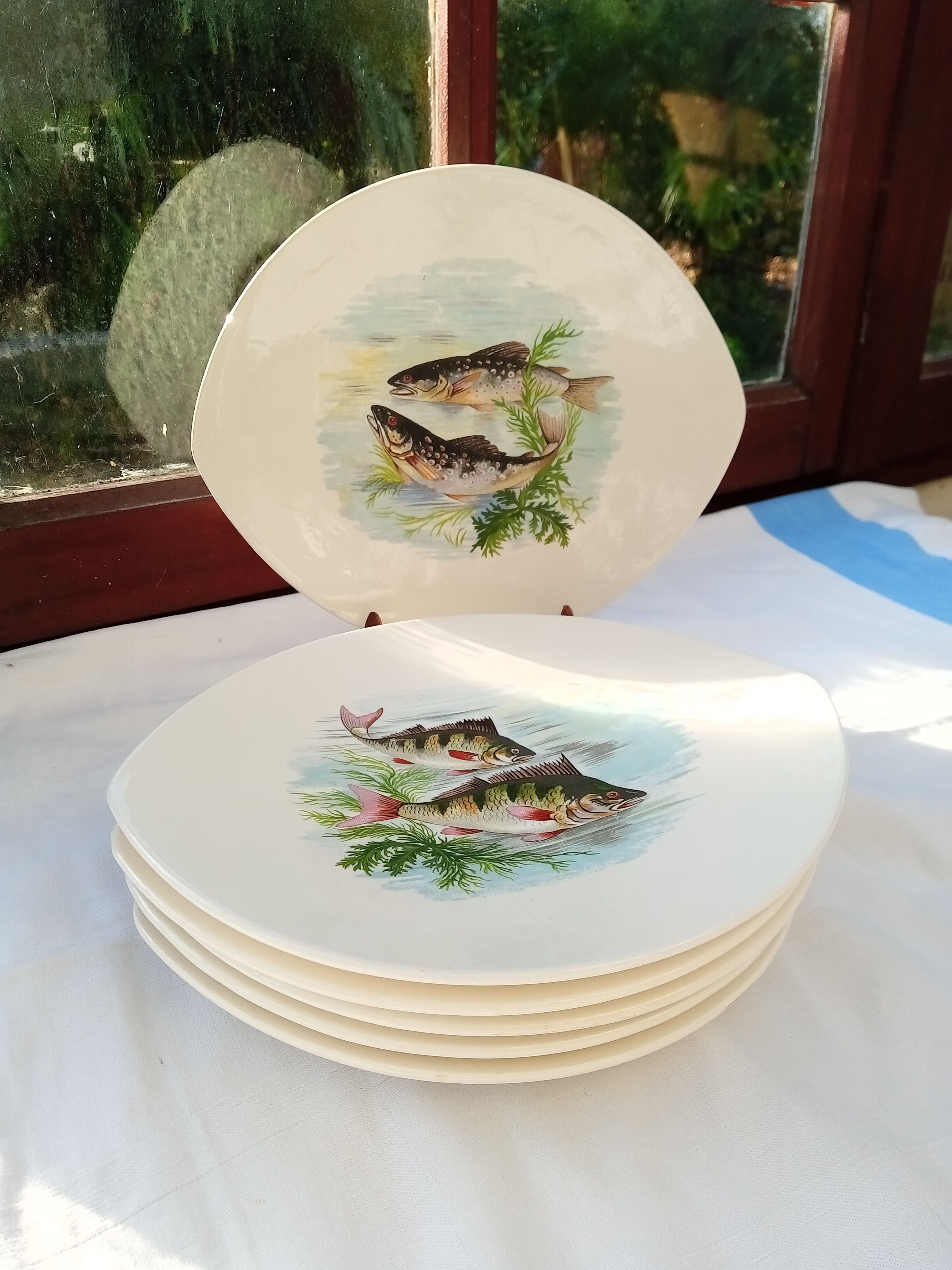 6 flat oval plates Salins