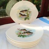 6 flat oval plates Salins