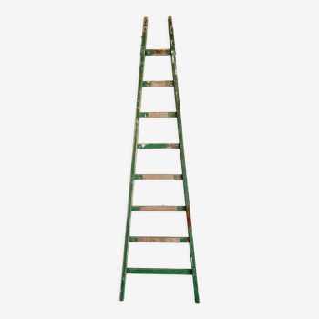 Old green wooden ladder patina
