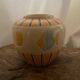 Sea vase fish
