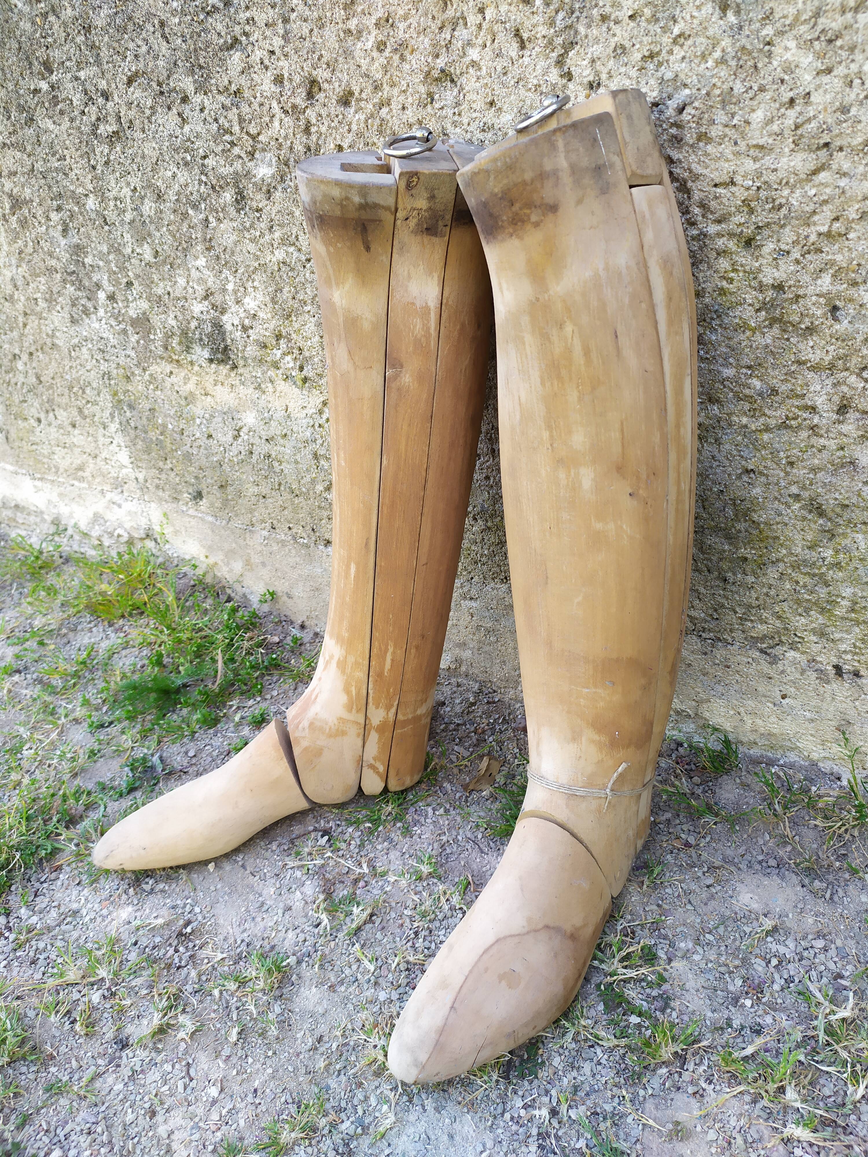Boot shoe trees
