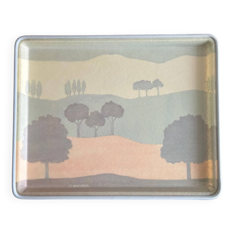ALPAC tray 80s