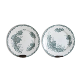 Antique flower plates DAISY St Amand x 2