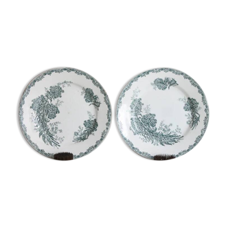 Antique flower plates DAISY St Amand x 2