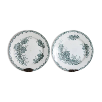 Antique flower plates DAISY St Amand x 2